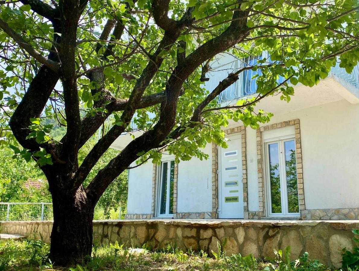 Guest House Ivano モスタル エクステリア 写真